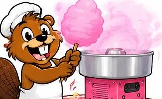 Majava tekemässä hattaraa